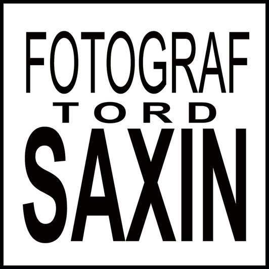 Fotograf Tord Saxin